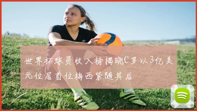 世界杯球员收入榜揭晓C罗以3亿美元位居首位梅西紧随其后
